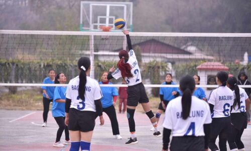 ba48143b-a7c9-460e-a200-a701a33dcac8