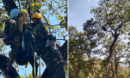 Paragliding-Udayapur