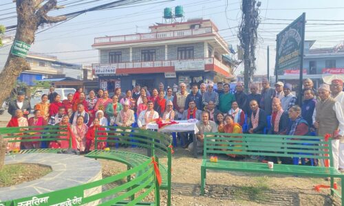 machhapuchchhre tole (1)