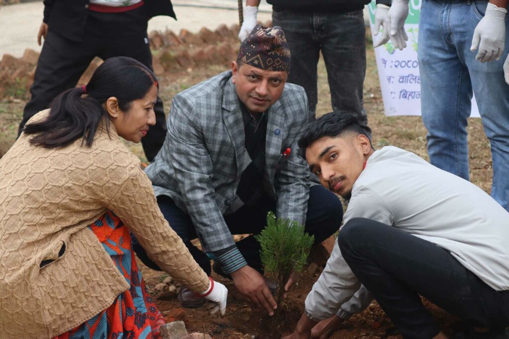 waling tree plantation