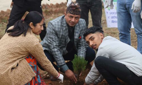 waling tree plantation