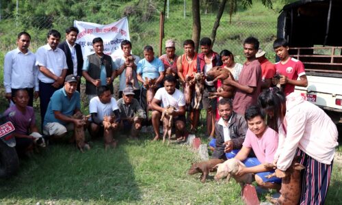 bangur patha bitaran news