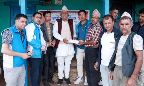 united help nwes photo