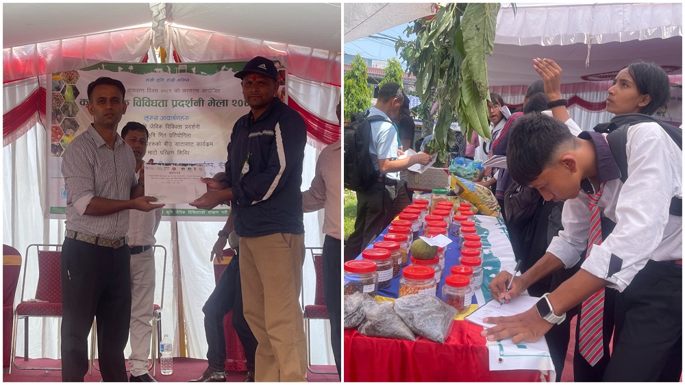 PKR 13 Krisi Mela Photo 1