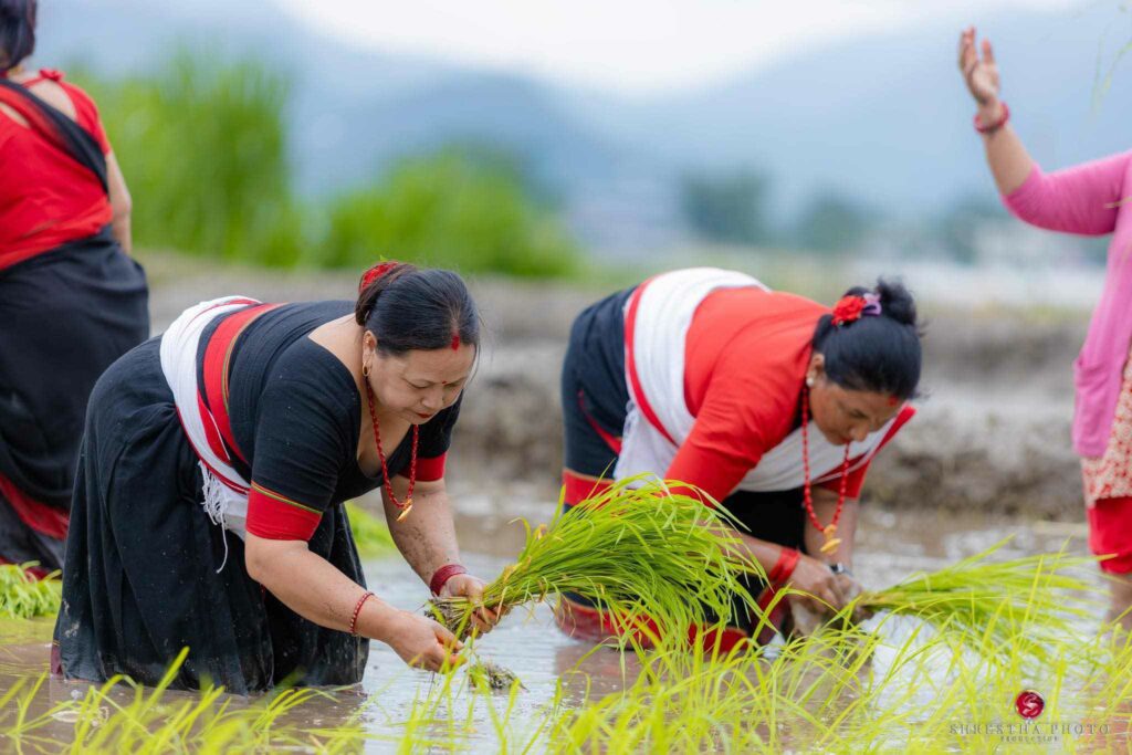 aa3a83fe-e7da-4b7f-a8d4-5d707c9f223b