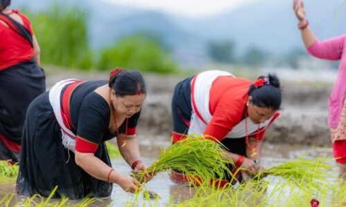 aa3a83fe-e7da-4b7f-a8d4-5d707c9f223b