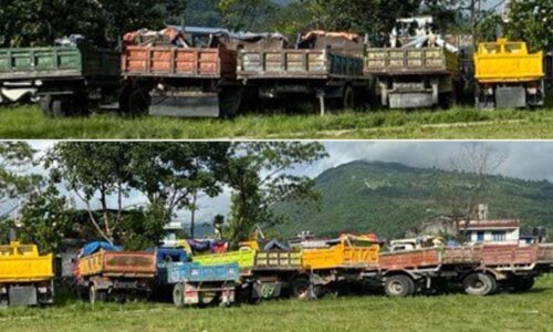 tippar_pp_PNdcepN6fs