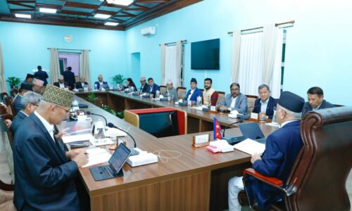 cabinet oli 081 start (2)