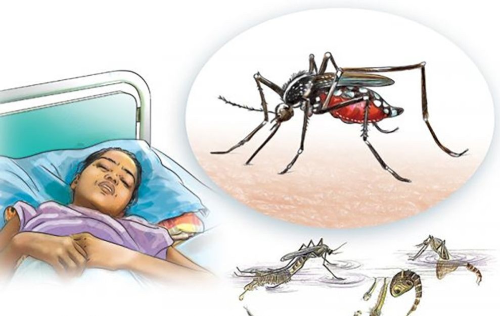 dengue