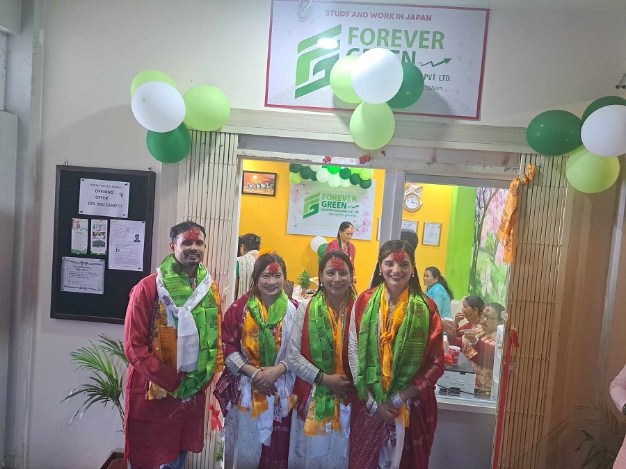 education consultecy