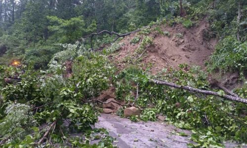 road-pahiro_tT0amGbwwr