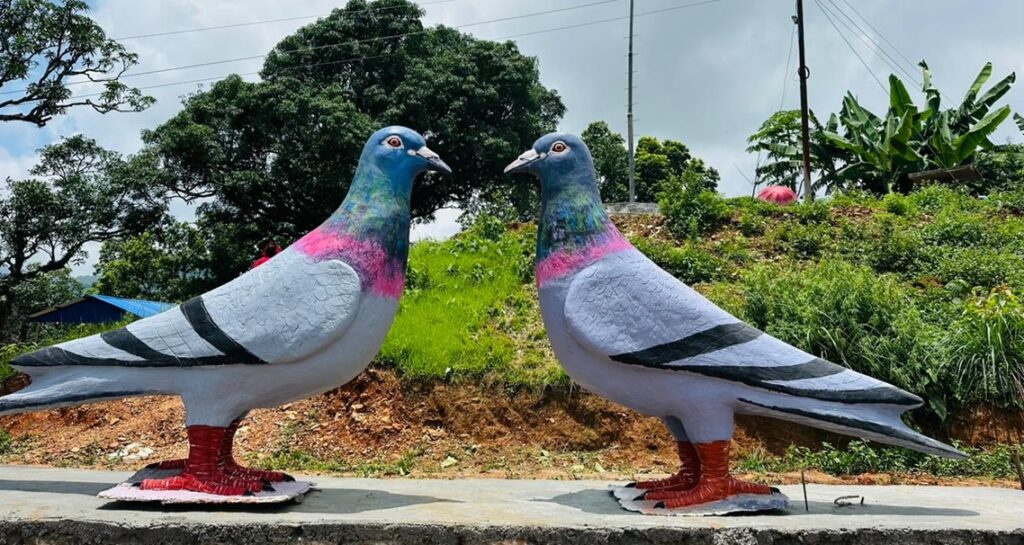 parewa-jodi