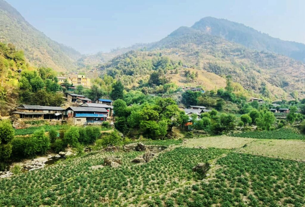 Aalu baglung