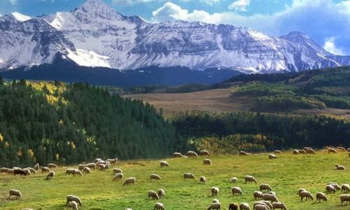 Dhorpatan-Hunting-Reserve