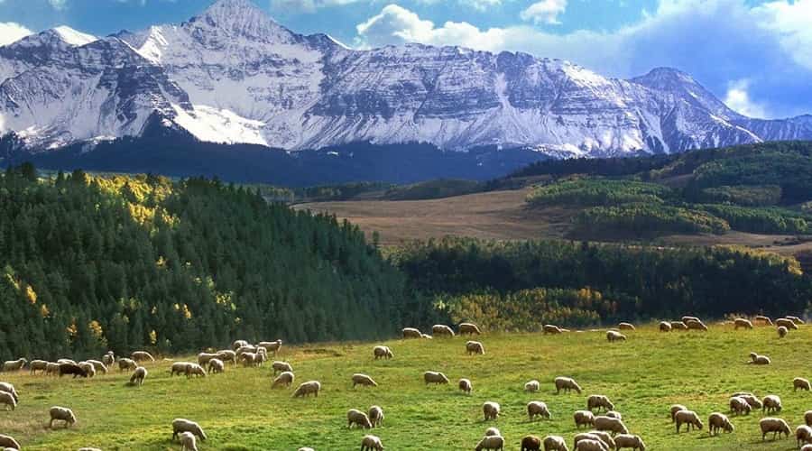 Dhorpatan-Hunting-Reserve