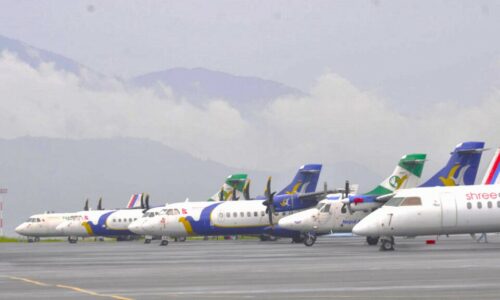 TIA-domestic airlines