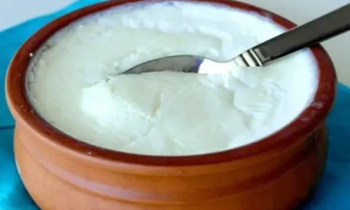 dahi