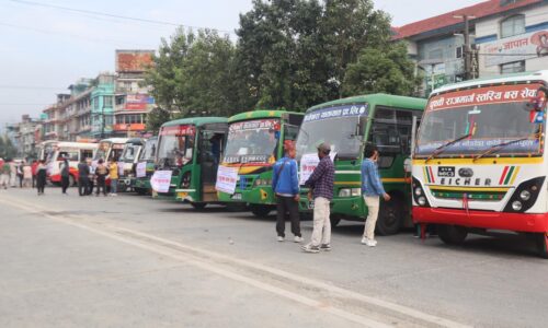 dasai nishulka bus (1)