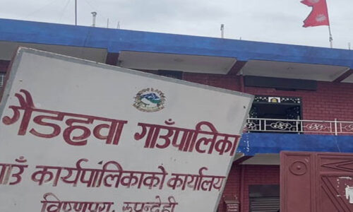 gaidhaba_gaunpalika
