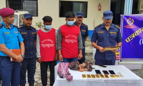 hetauda gold baramad