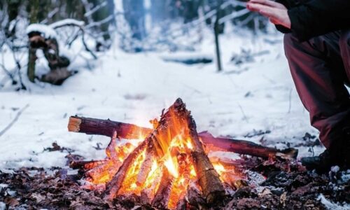 inbound2392670551100991828