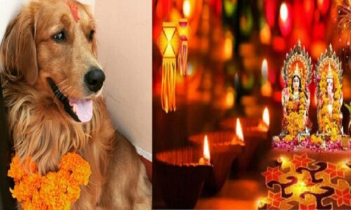 kukur tihar-and-laxmi pooja