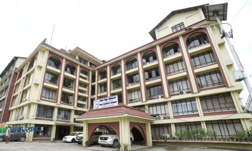 nea nepal electricity