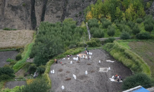 Mustang-Aalu-Zone-Potato