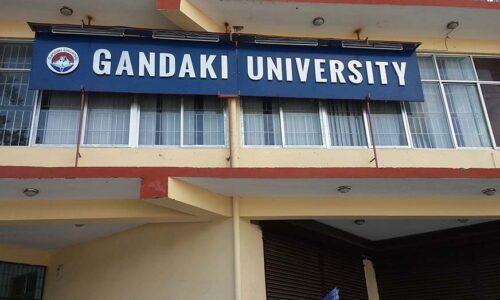 gandaki-university