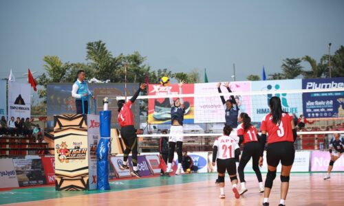 APF vs Tiger group (1)