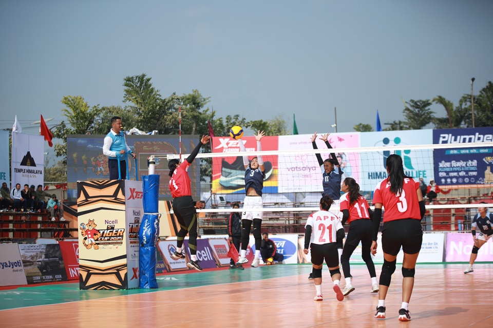 APF vs Tiger group (1)