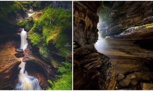 Davis Fall Patale Chhango