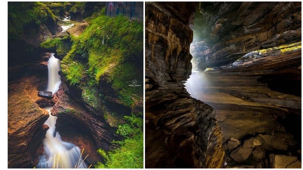 Davis Fall Patale Chhango