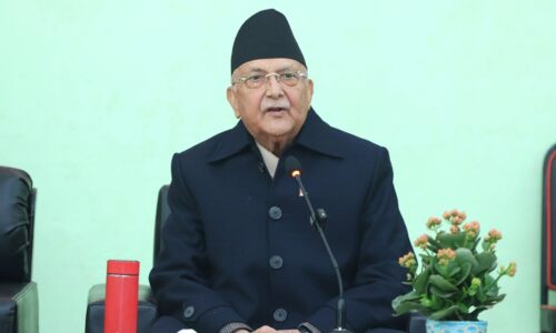kp oli