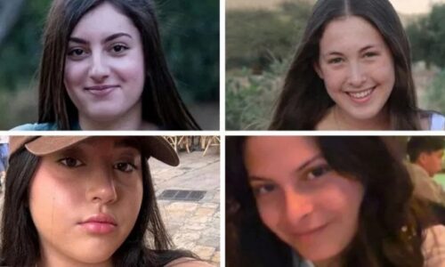 JPG converted with https://ezgif.com/webp-to-jpg