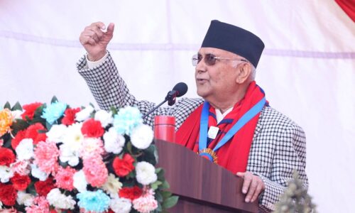 pm oli