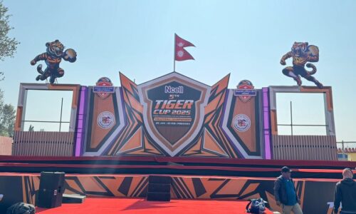 tiger cup