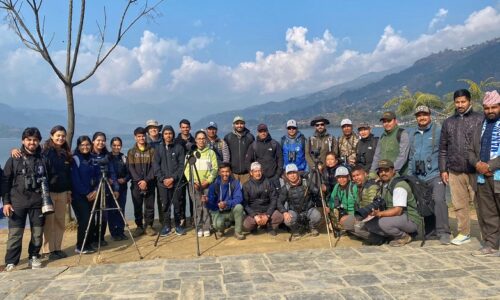 water birds counting