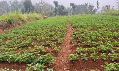 Alu-5–(1)-1740212310