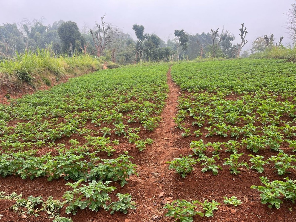 Alu-5–(1)-1740212310