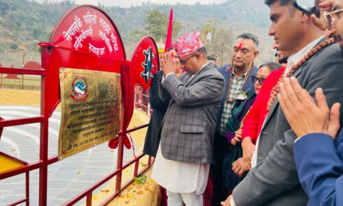 Navagraha anusthan_11