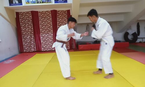judo