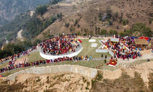 navagraha darshanarthi