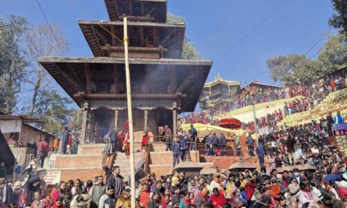 salinadi-swastani-(23)_0sk4jkKHiX