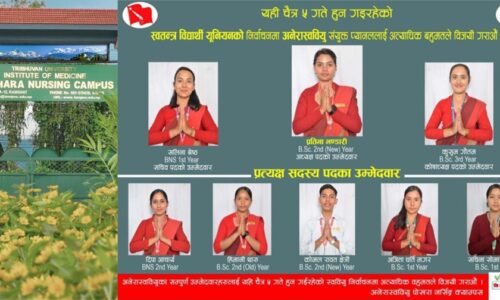 26742f68-03d0-4e05-ae72-2f1261ffa546