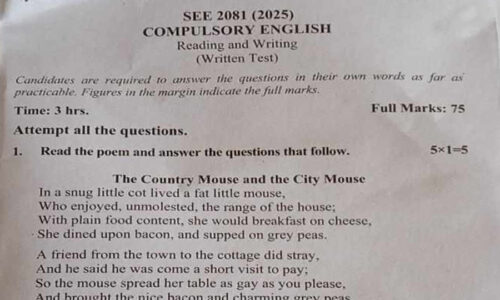 English-QuestionSEE-2081