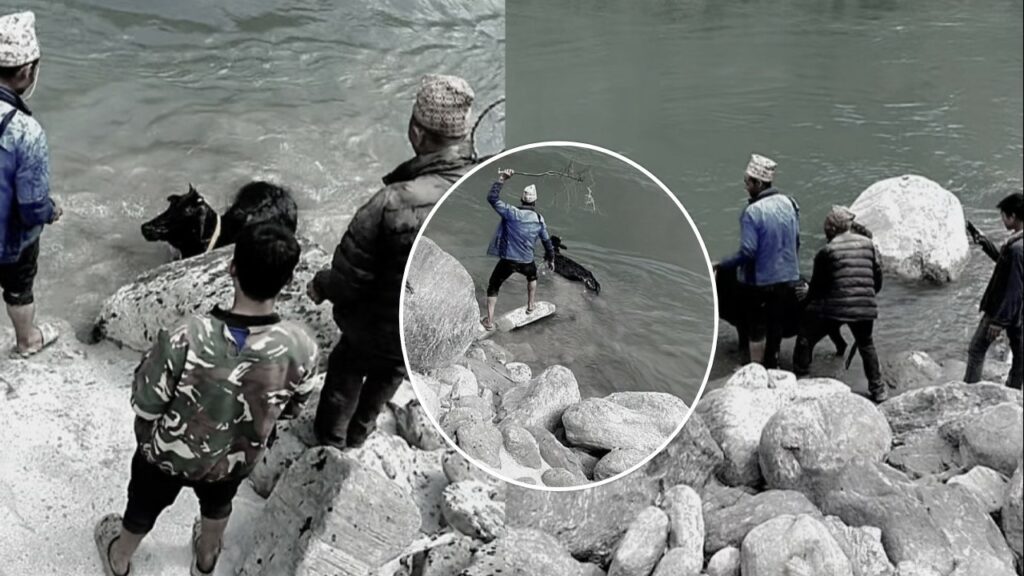 gaimathi aparadh paapiharur