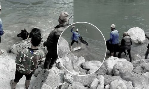 gaimathi aparadh paapiharur