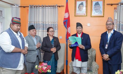 pp aadibasi janajati pratibedan (1)