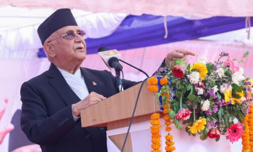 kp oli